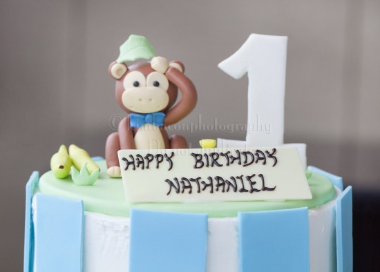 Nathaniel's 1st Birthday 
